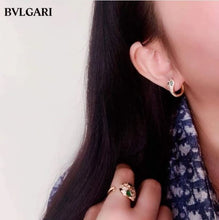 Load image into Gallery viewer, YB Stainless Steel High Quality Snake Fashion Bangles for Women Hand Cuff Open Bracelet Bangles Ring Earring ON SALE