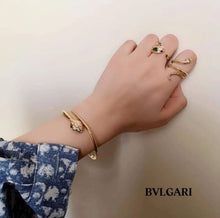 Load image into Gallery viewer, YB Stainless Steel High Quality Snake Fashion Bangles for Women Hand Cuff Open Bracelet Bangles Ring Earring ON SALE